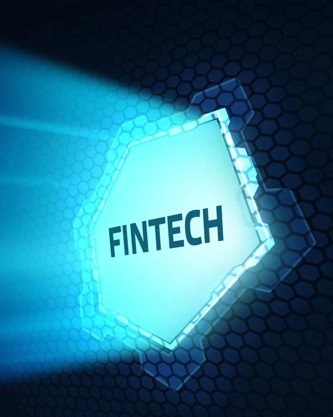Fintech professional in consultation